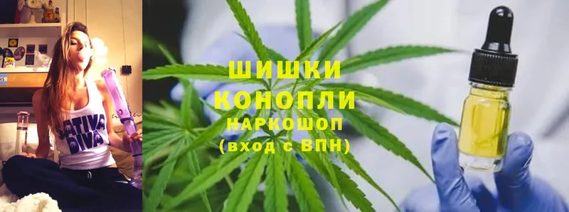 Бошки марихуана Ganja  Наволоки 